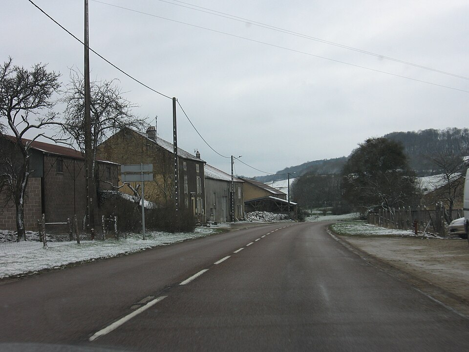 Maisoncelles (Haute — Marne) FR (april 2008)