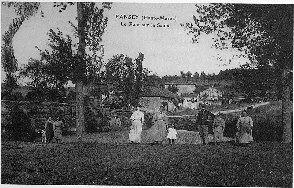 Paney 60564