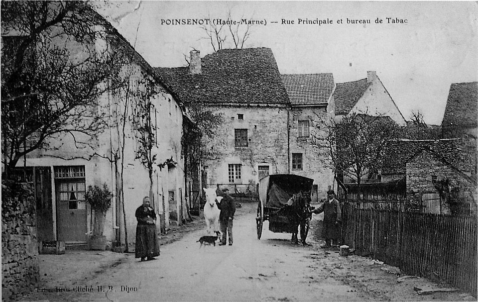 Poinssenot 73063