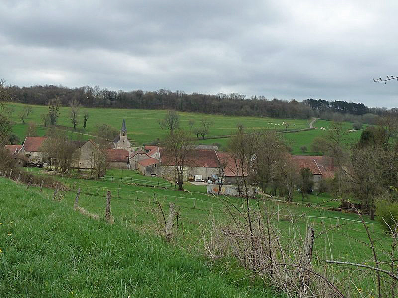 52519 VESVRES SOUS CHALANCAY 1 (2)