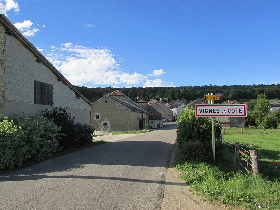 Vignes — la — Côte10