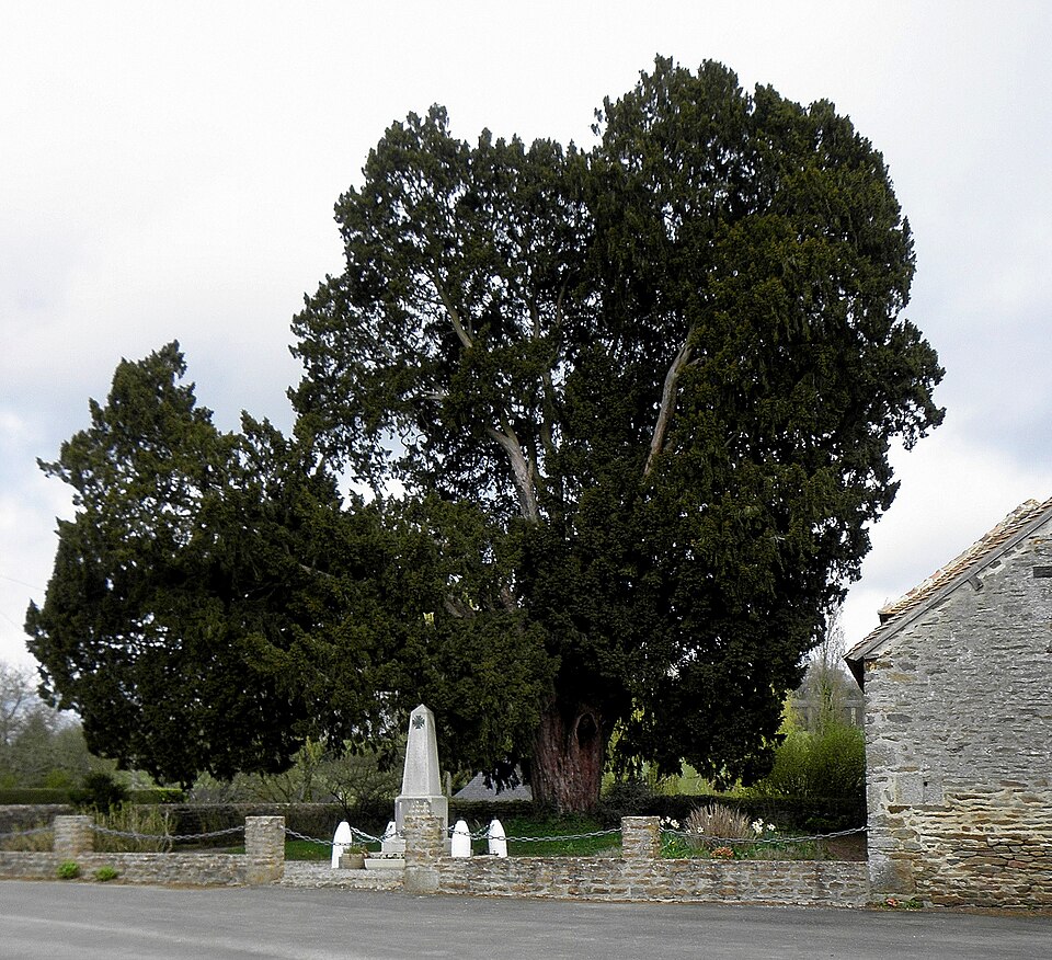 Boulay — les — Ifs (53) If