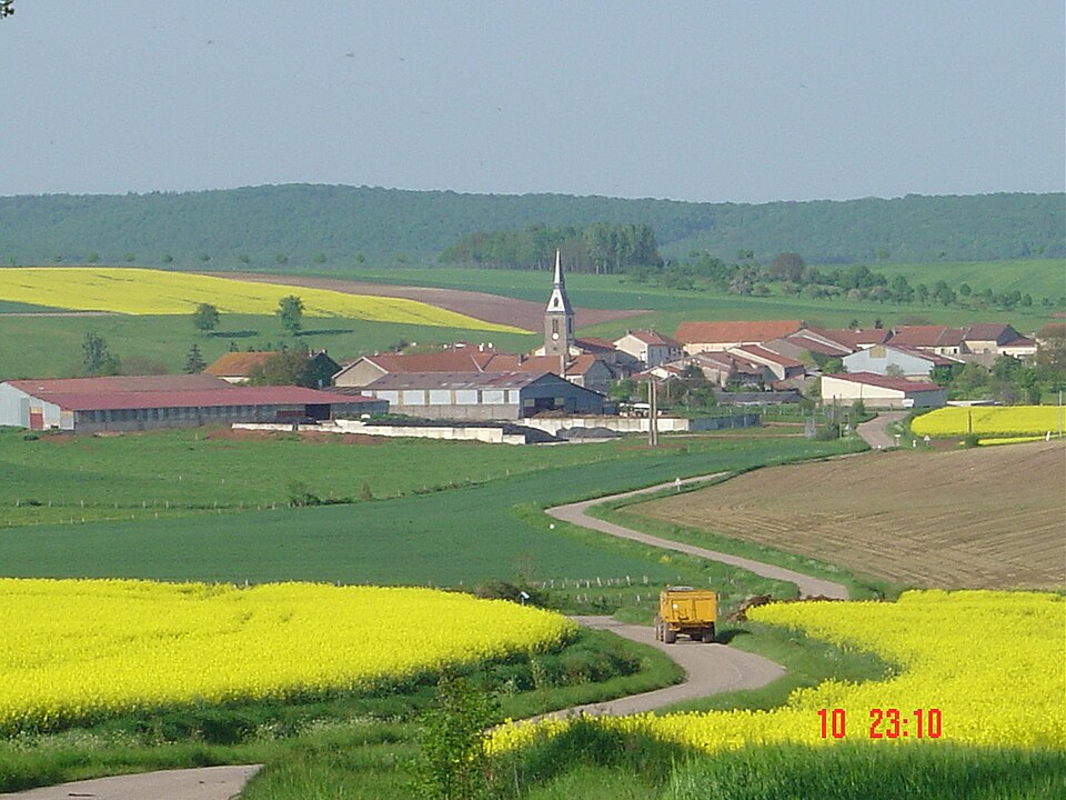 Athienville colza