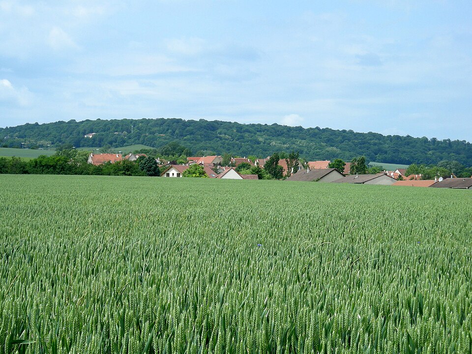 Fléville — Champs