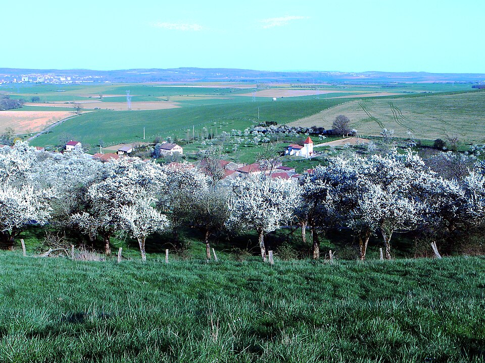 Vuedemarthemont