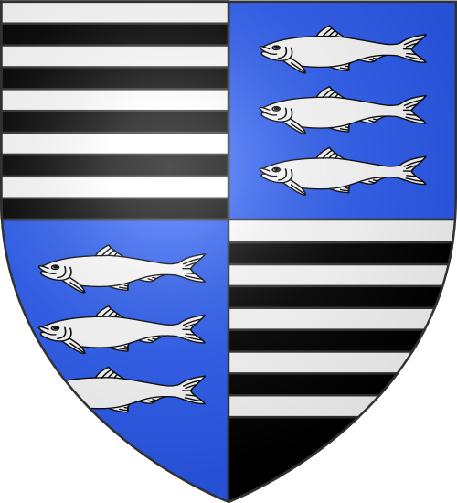 Blason de Vézelise