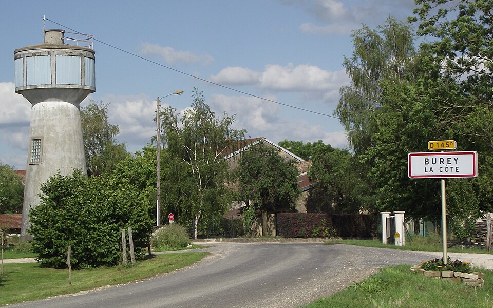 Entree village Burey — la — Cote