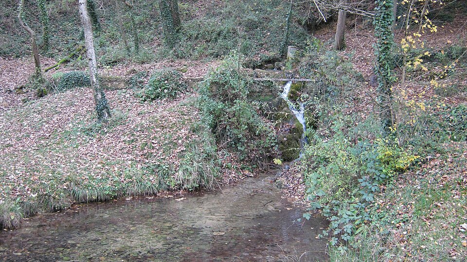 Source de la Doua