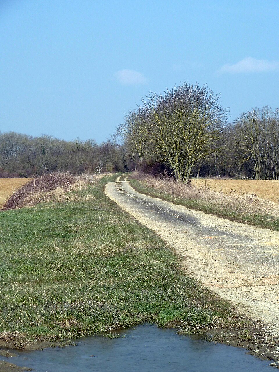 Laimont Villers — aux — Vents (55 Meuse) voie romaine Reims Toul