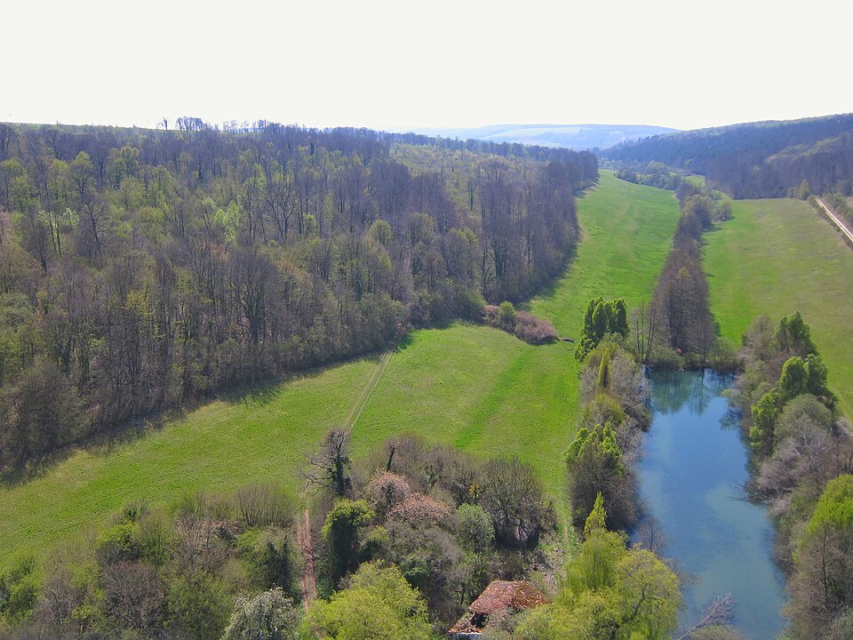 Vallon de l'étanche — En direction de Lavignéville 0847SW