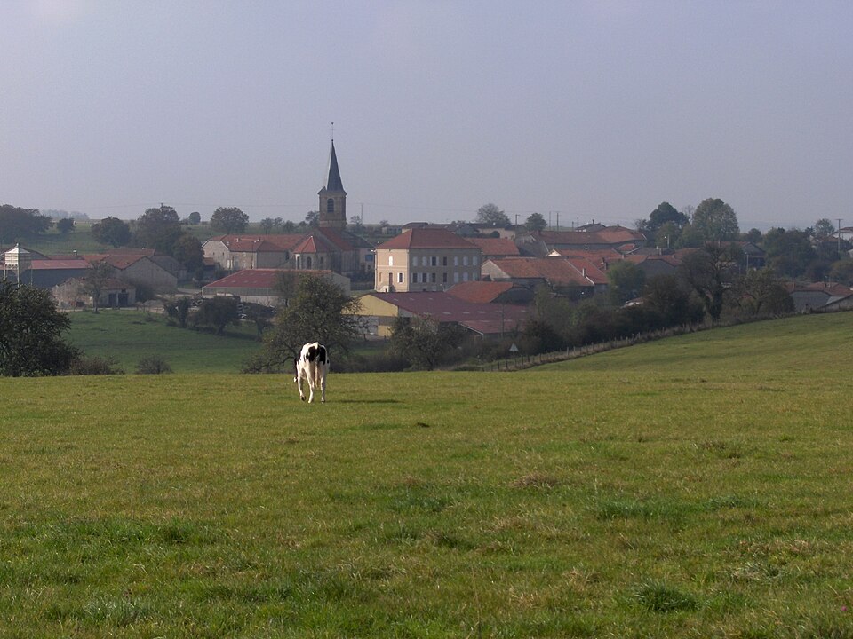Mandres2