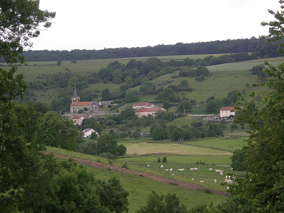 Reville aux bois