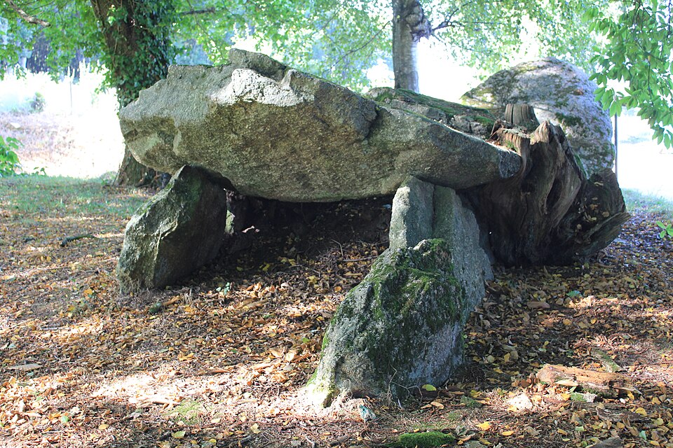 Allée couverte de Kergonfalz 4104
