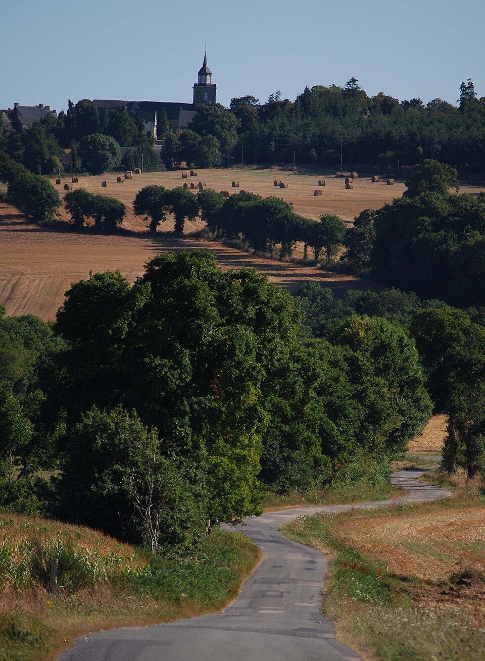 Vue de Caro