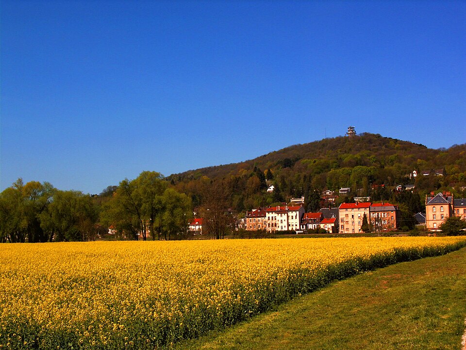 Rapsfeld und Mont St — Quentin