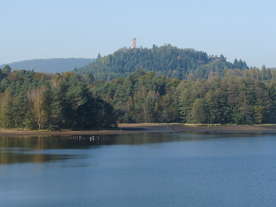 Etang de Hanau (6)