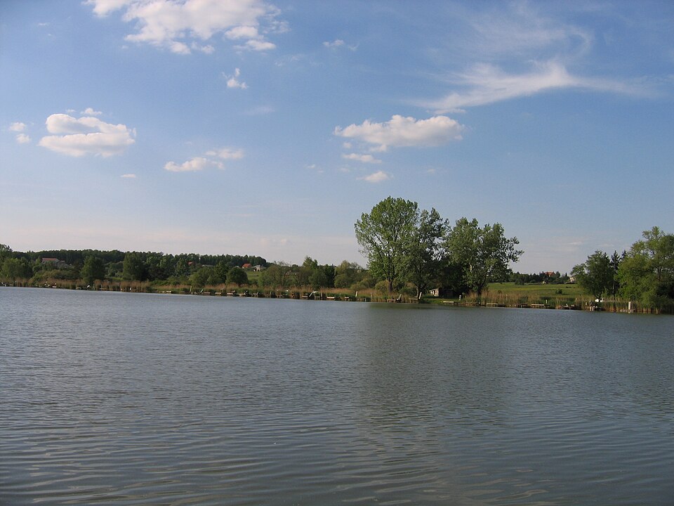Etang n°1