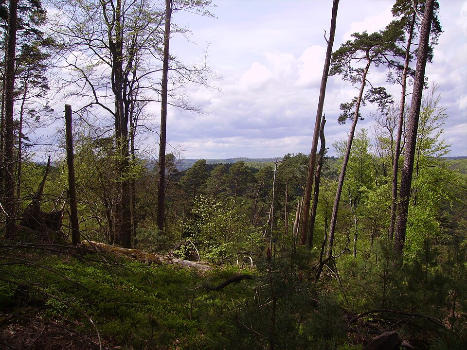 Vue Goetzenbruck depuis Offwiller