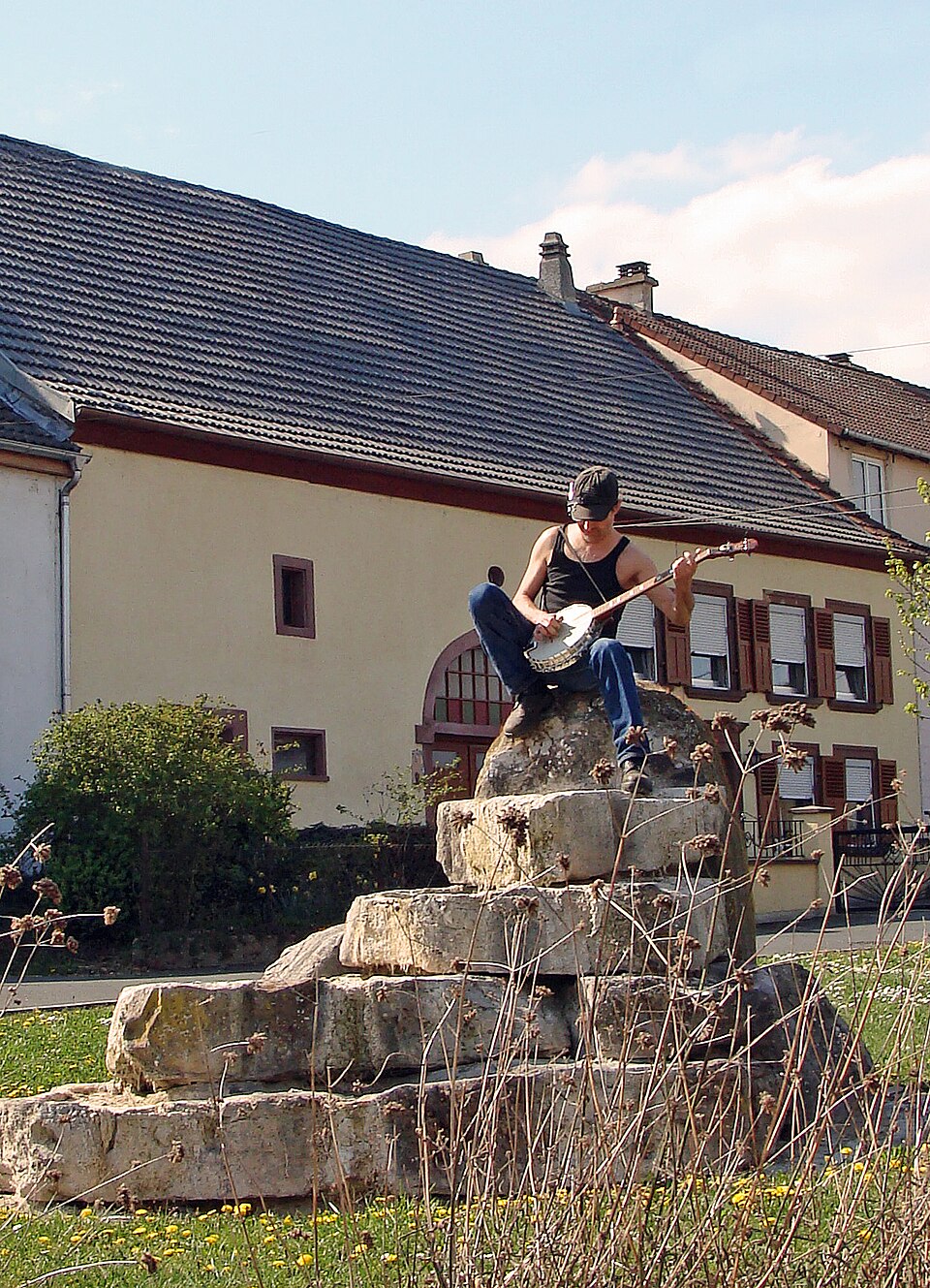 Ellviller
