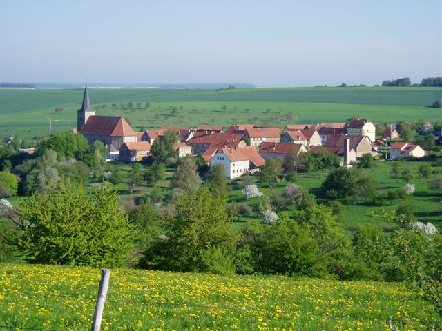 Loutzviller2