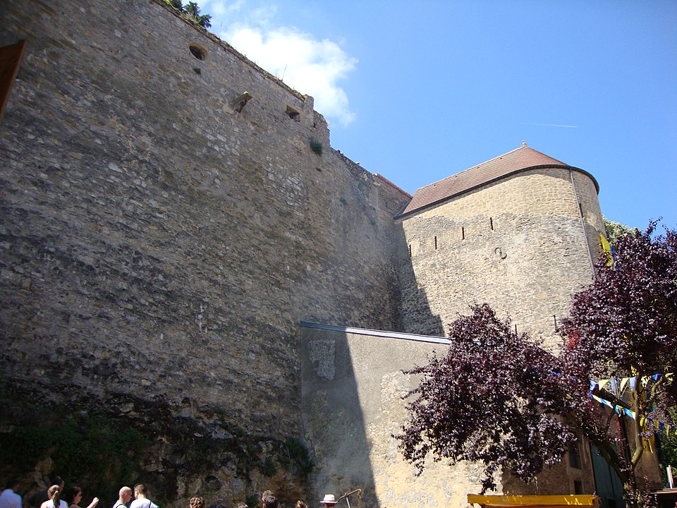 Rodemack2011 — 7