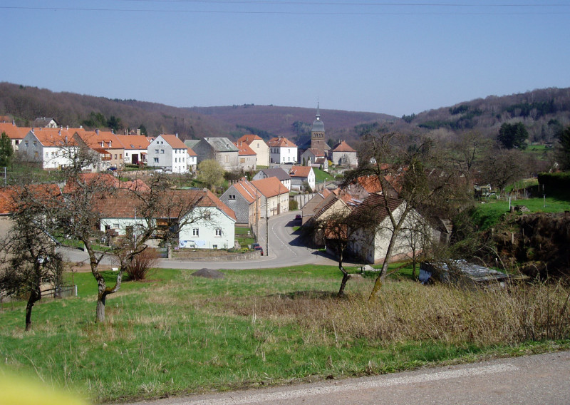 Schorbach 0305