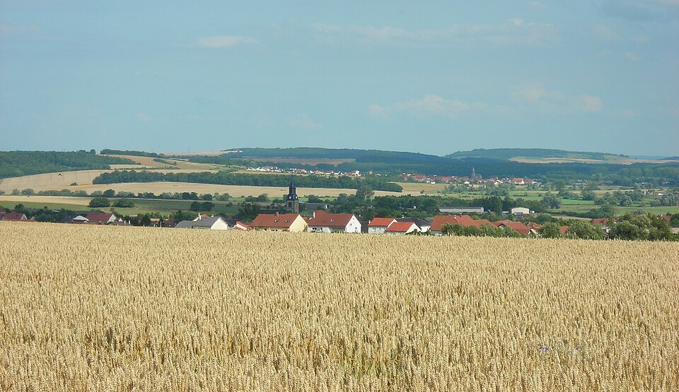 Teting sur nied
