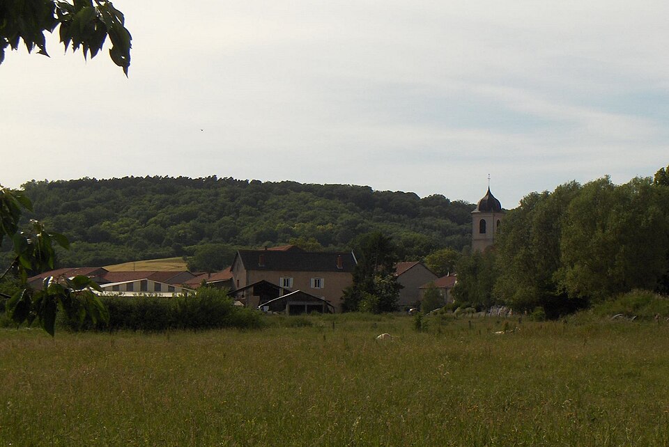 VaxyDeptMoselle