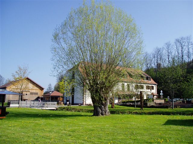 Moulin a escvhviller 250404