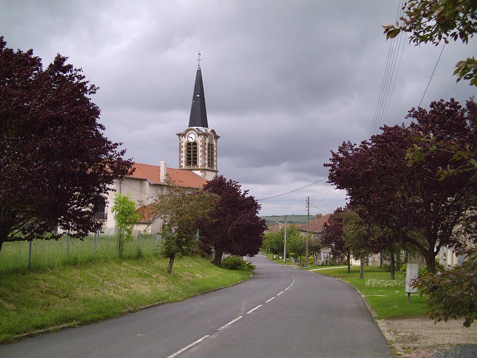 Xanrey1