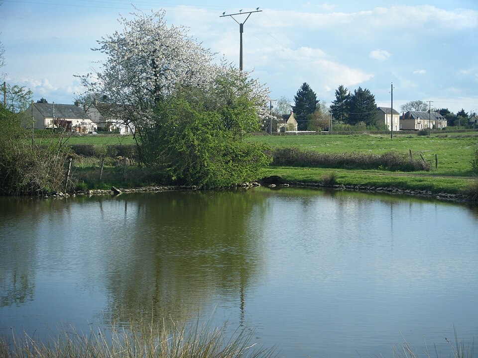 Mare de Champlin