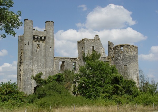 Chateau passy les tours 001