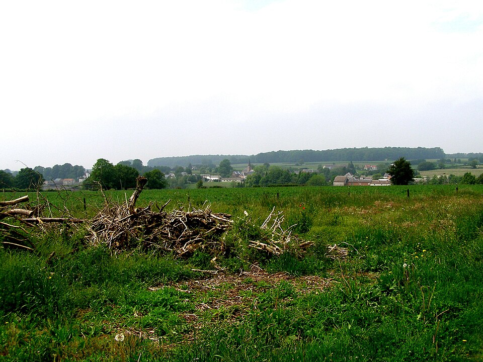 Vue d ensemble210507 (56)