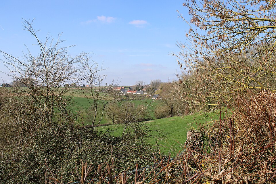 Le Plessis — Patte — d'Oie Panorama