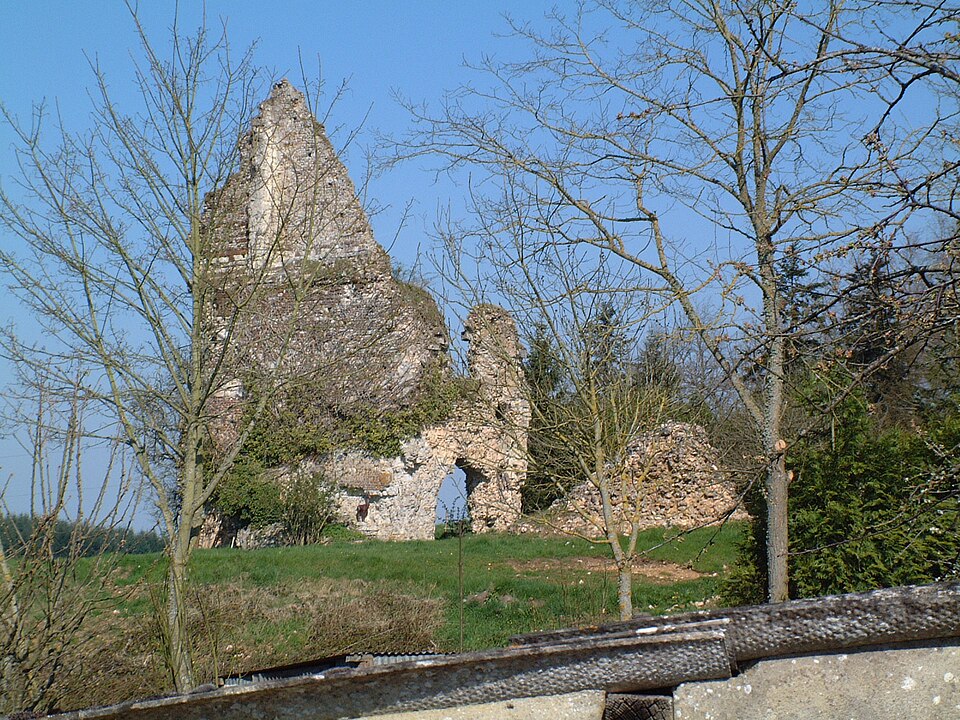 Ruines Bonsmoulins