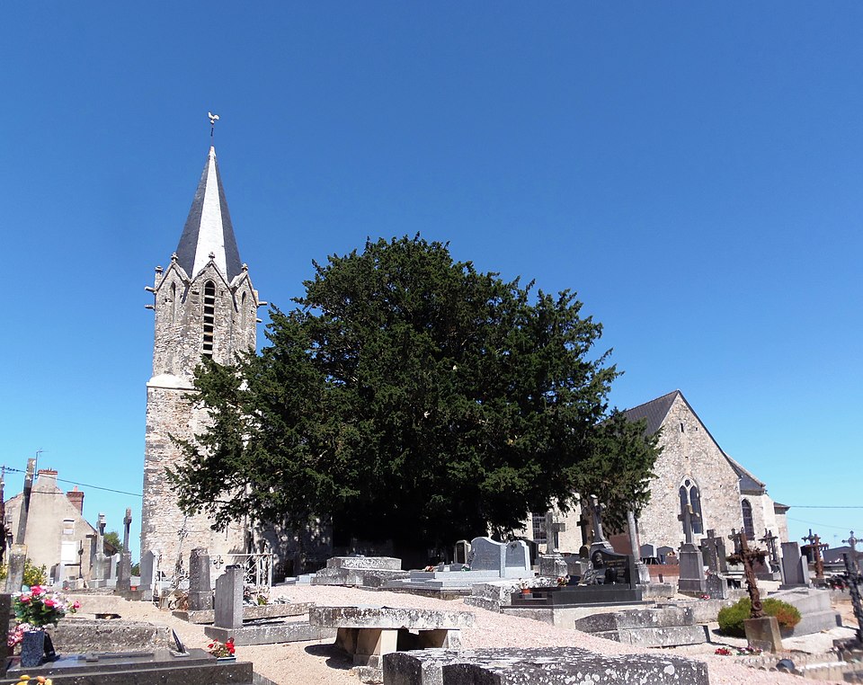 FranceNormandieNecyEglise