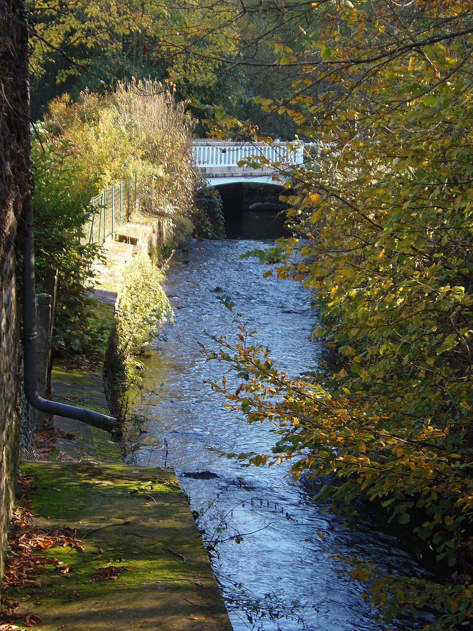 FranceNormandieSaintPierreDuRegardLaVere