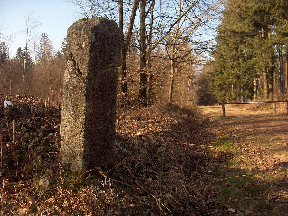 Borne de la forêt d'Ecouves — Tanville