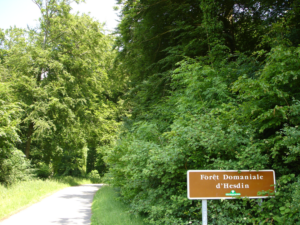 Entrée forêt d'Hesdin à Aubin — Saint — Vaast