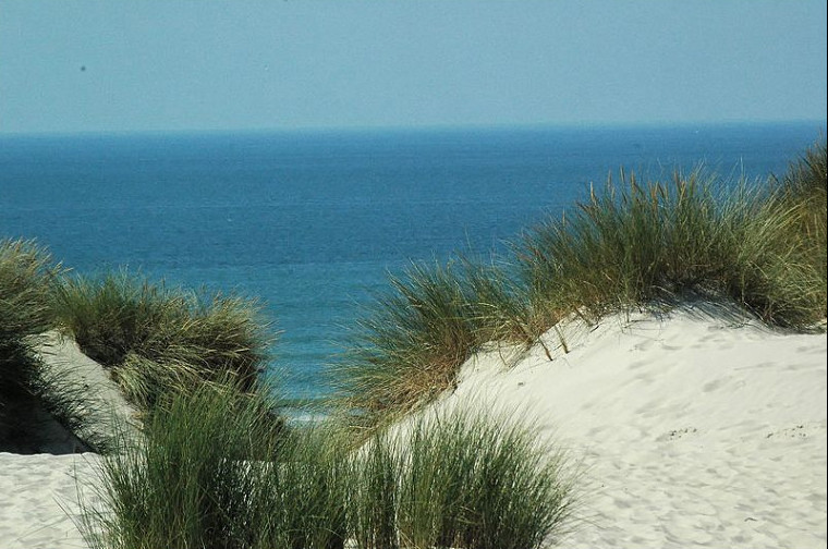 Stella dunes.