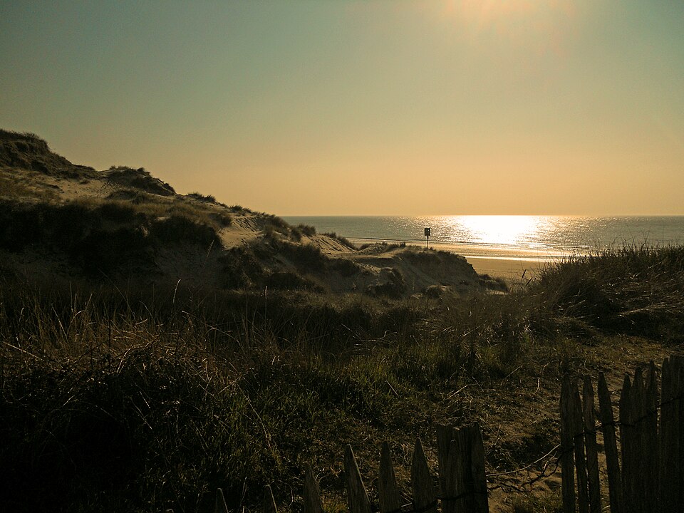 Ecault white dune
