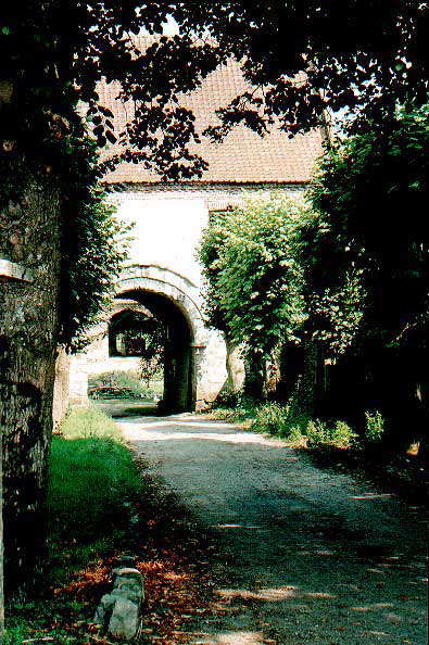 Tincques2