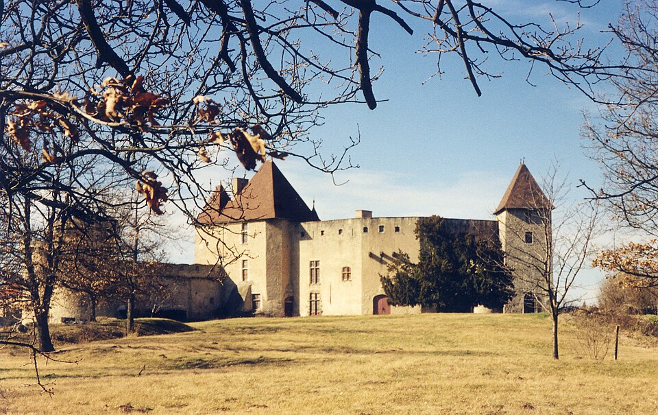 Chateau de la roche