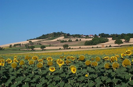 Paysageluzillat