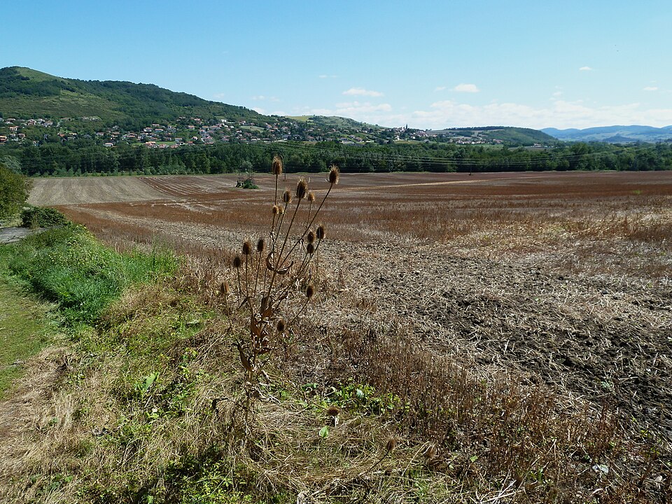 Puy de Mur. vu de Dallet (Auvergne)
