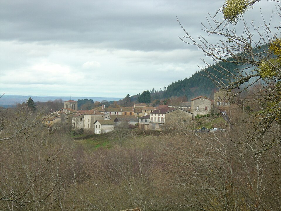 View Olmet 63