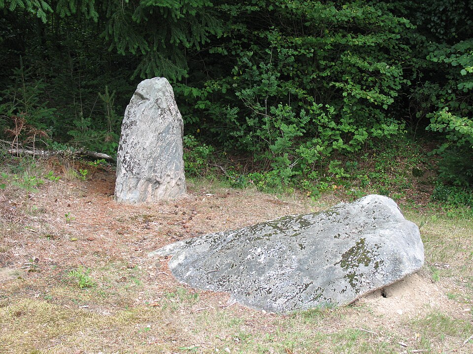 Menhirs de Barbouly (11)