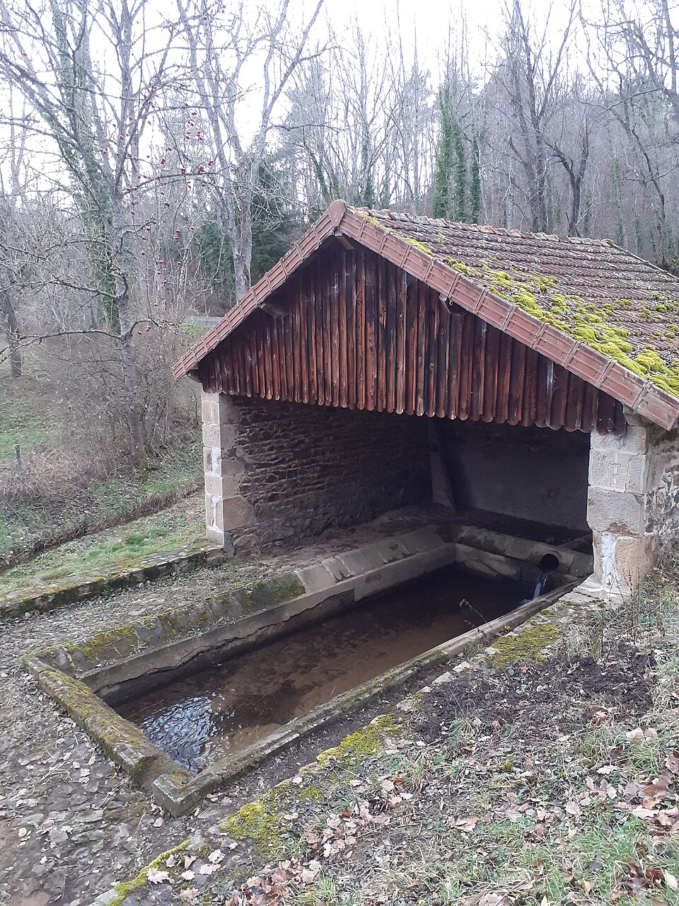 Le lavador de vès v — Olèiras