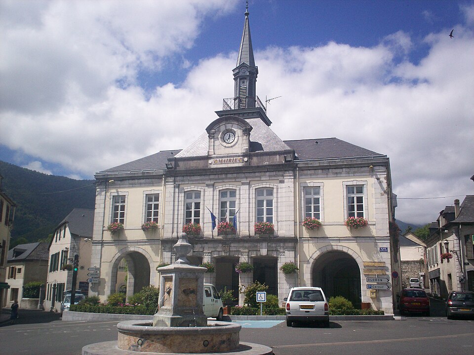 Arudi1