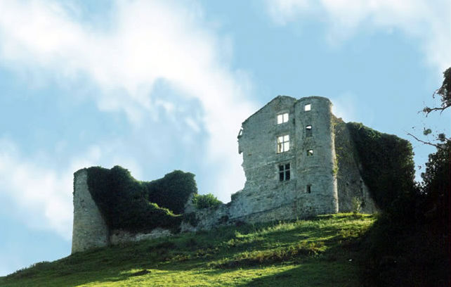 Belzunce — chateau
